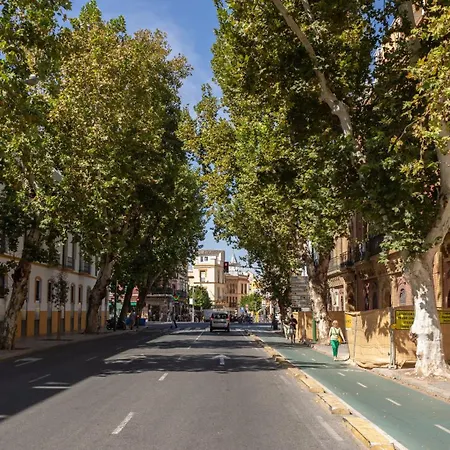 Charming 2 Bedroom At Center By Ocityzen Seville